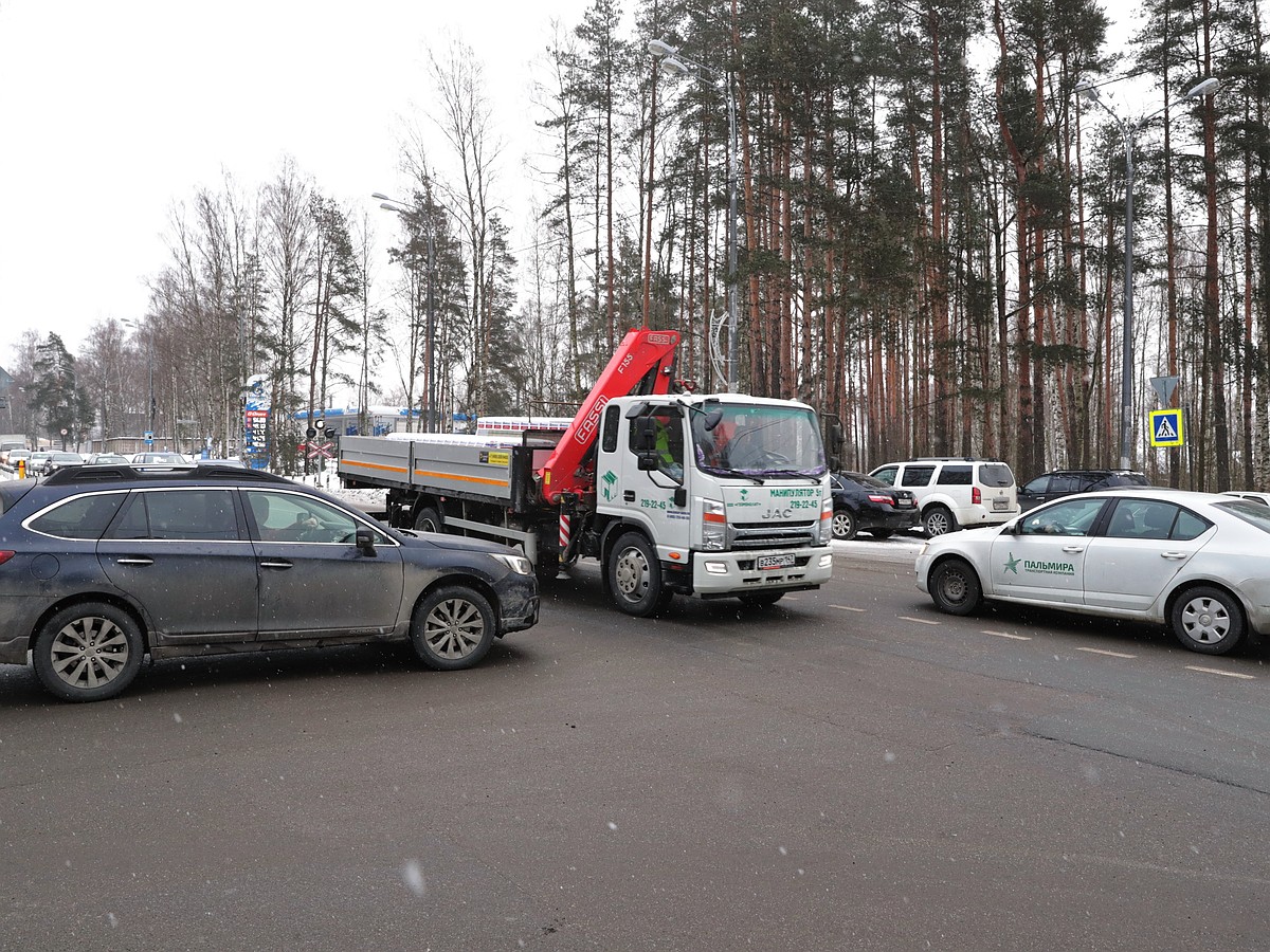 У Онкоцентра в Песочном появится парковка на 600 машино-мест - KP.RU