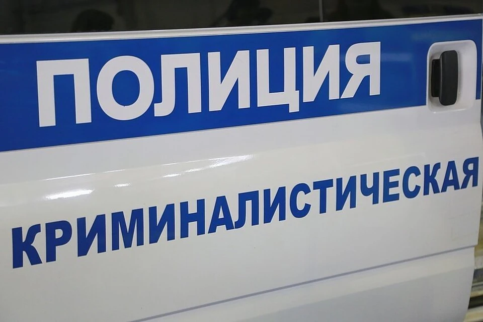 В Красноярском крае задержали похитившего автомобиль приятеля потерпевшего