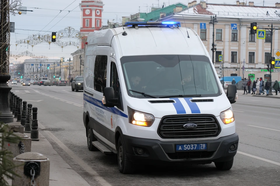 Жительница Ленобласти обвинила сожителя в изнасиловании своей дочери