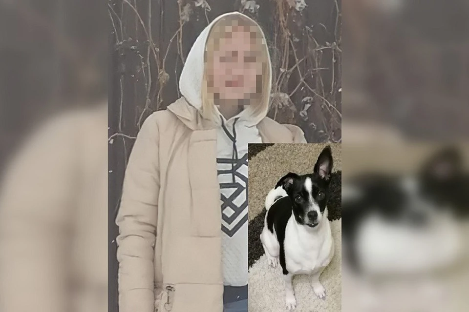 Фото: "Лиза Алерт"