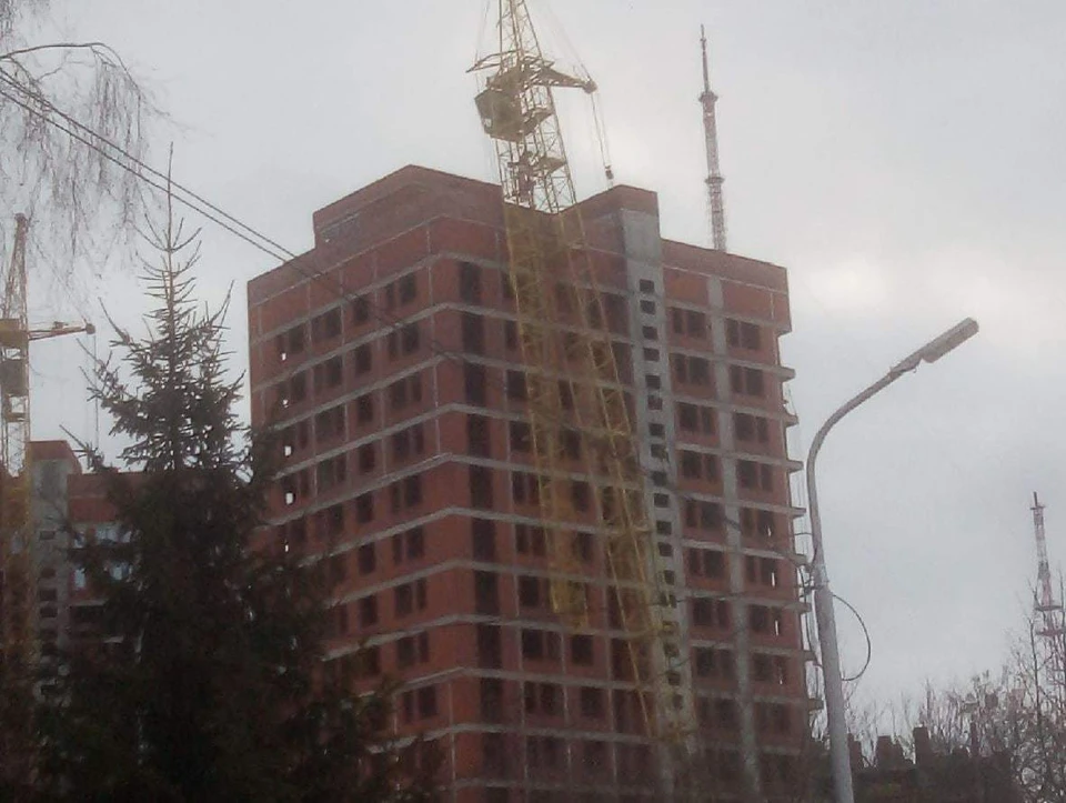Фото: паблик в социальных сетях "Тула Жесть"