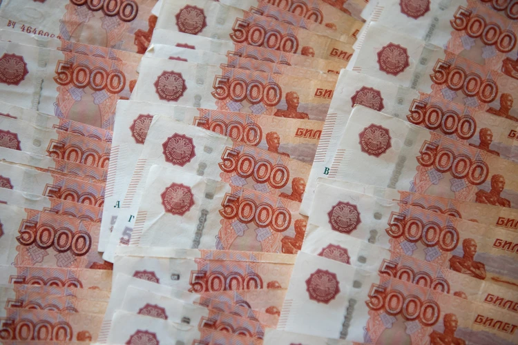 Бизнесменам Хабаровского края хотят снизить налоги в два раза