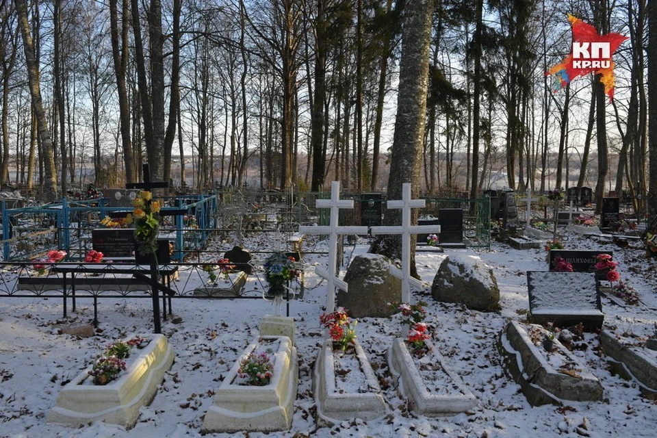 В районах Ставрополья наблюдается разная ситуация. Так, в краевом центре рождаемость традиционно выше смертности