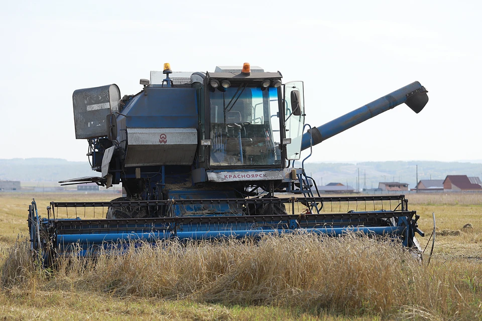 Цены на зерно в России зависят от мировых, и они сейчас очень высокие