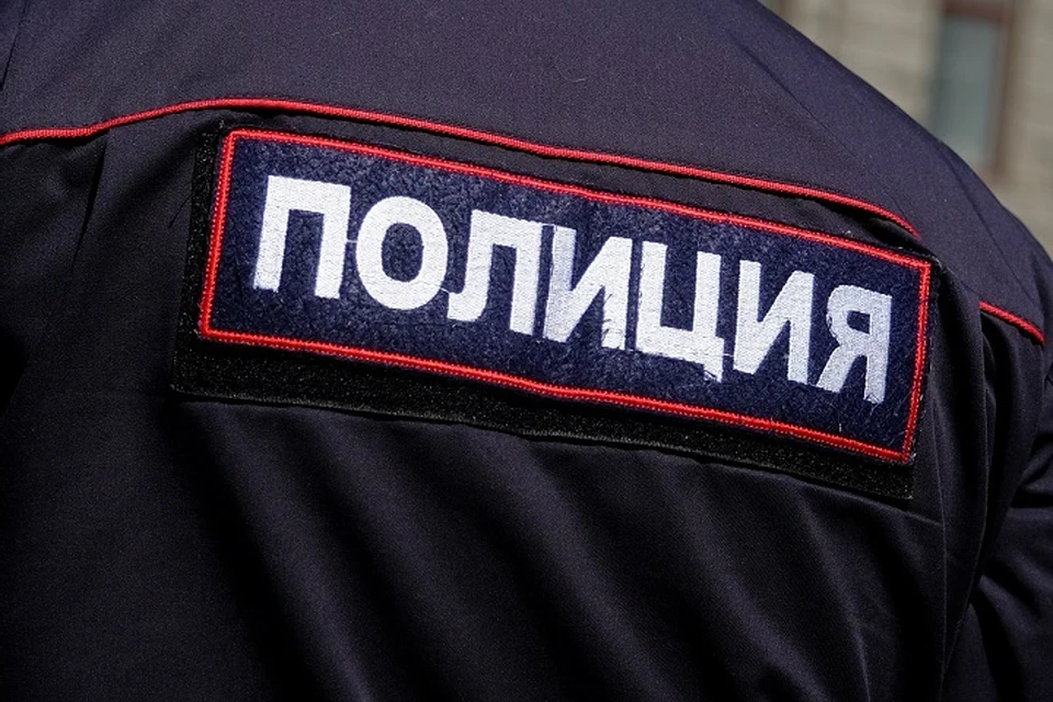 В Тосненском районе Ленобласти пенсионерку убили сковородкой.