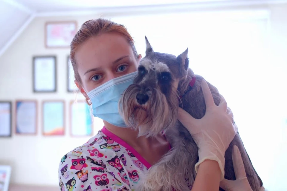 Инициатива "pet-friendly офис" действует в университете уже месяц. Фото: ДГТУ.