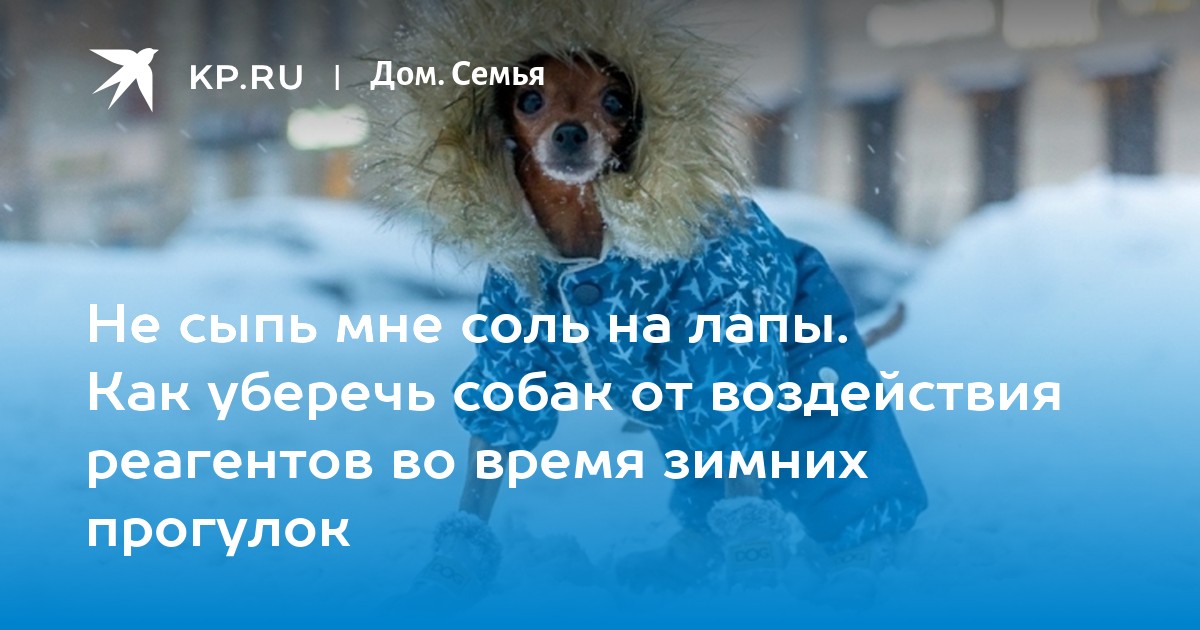 Не сыпь мне соль