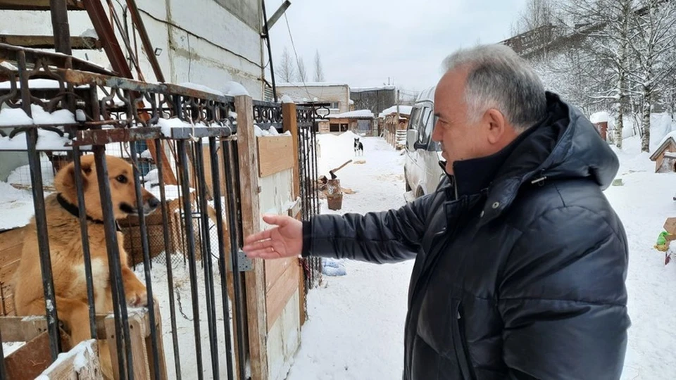 Глава Ухты Магомед Османов посетил приют фонда, который находится в микрорайоне Озерный.
