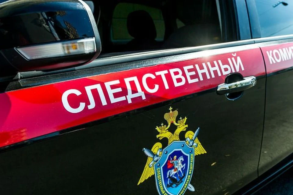 Следователи проверят новосибирскую школу №211, где охранник жестоко задержал ребенка.
