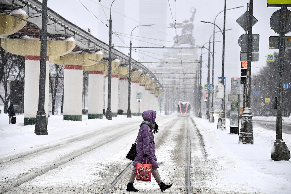Москву пару дней будет засыпать снегом.
