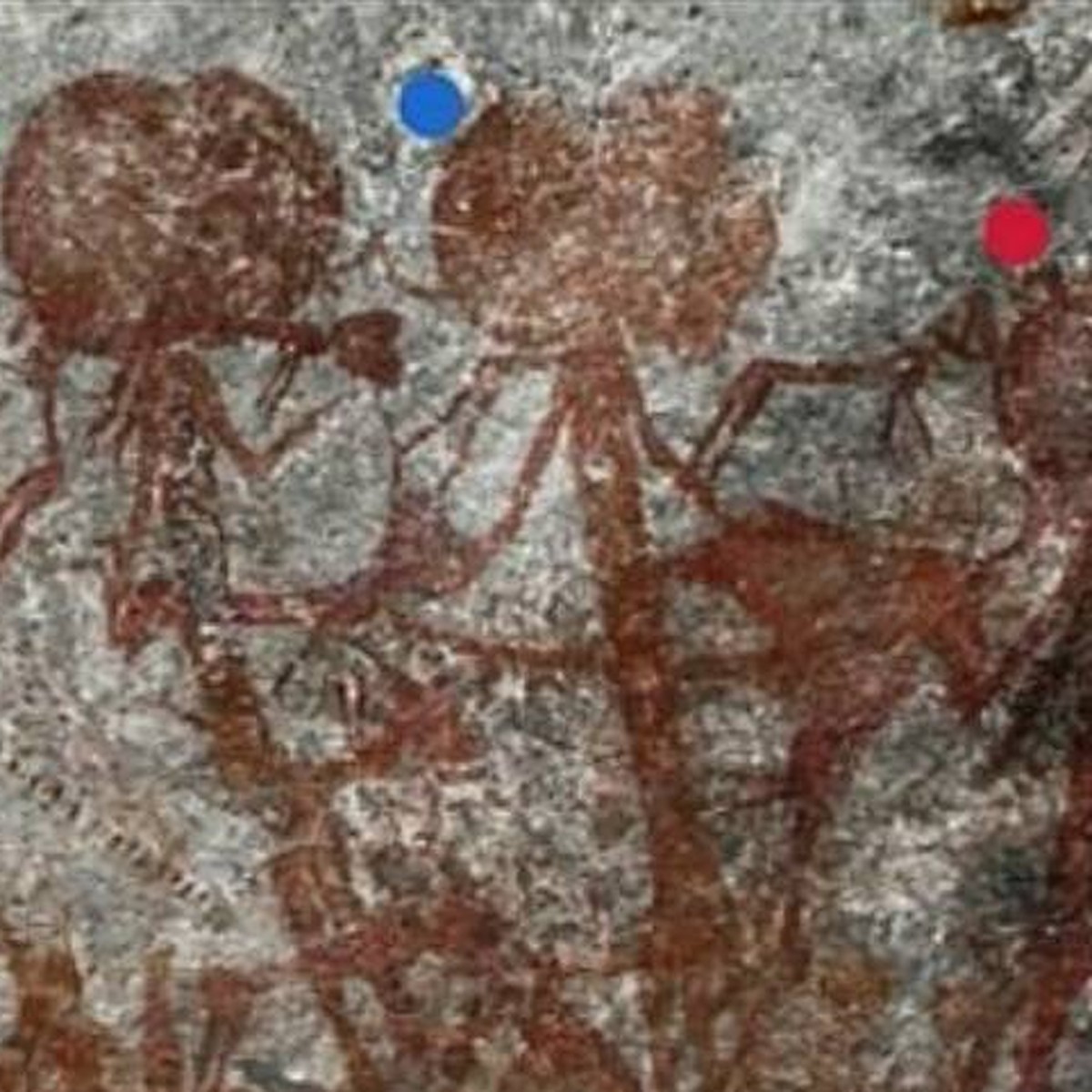 Наскальные рисунки с изображениями инопланетян найдены в Танзании - KP.RU
