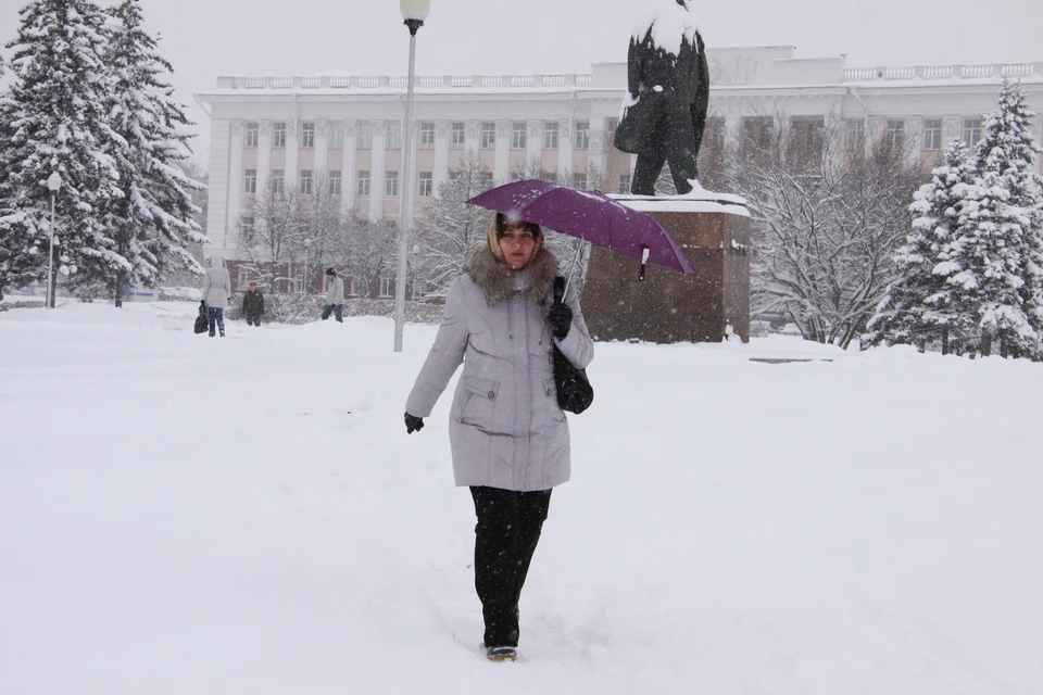 Снегопад в Алтайском крае 18 и 19 февраля 2021 года