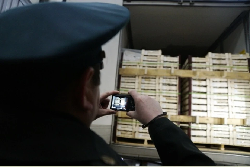 Специалисты Россельхознадзора осмотрели груз