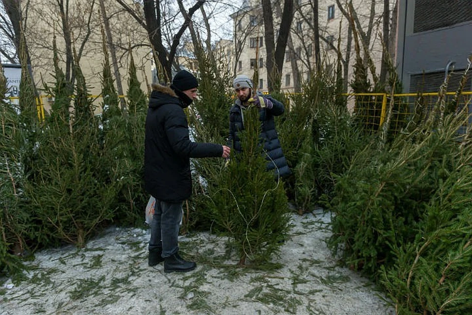Свыше 50 тысяч елок сдали на переработку жители Подмосковья