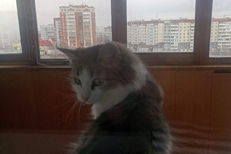 "Комсомолка" помогла разобраться с оплатой за услуги ЖКХ