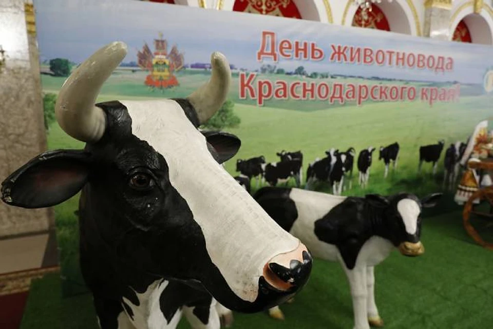 Фото администрации КК