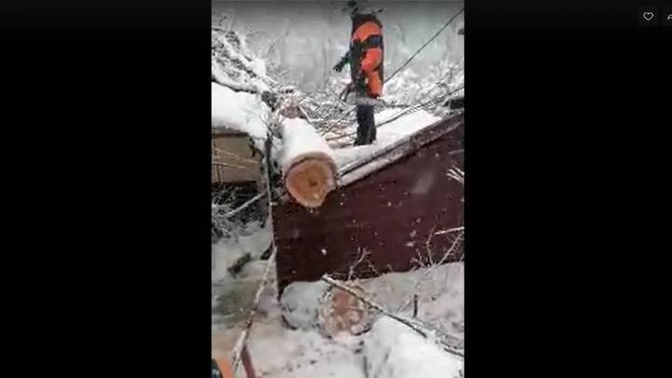 Фото ЮРПСО