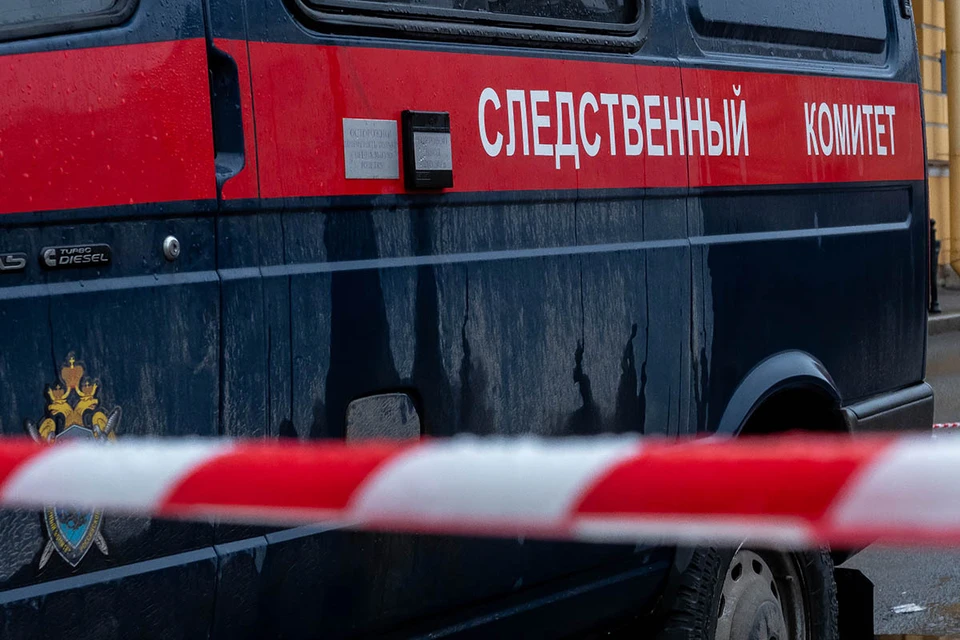 В районе Южное Медведково всю ночь работают криминалисты, которые пытаются понять мотивы дичайшего убийства – 36-летняя мать собственными руками задушила детей 3 и 11 лет.