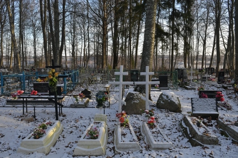 Жильцы многоквартирного дома были вынуждены смотреть на похоронные процессии.