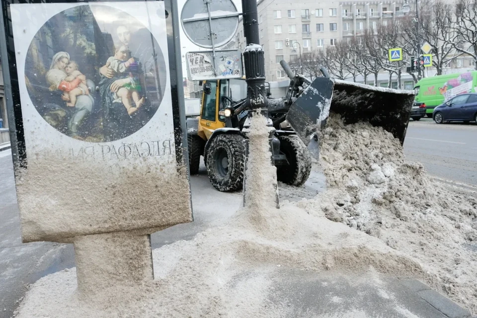 Смольный назвал сроки полного вывоза выпавшего снега из Петербурга.
