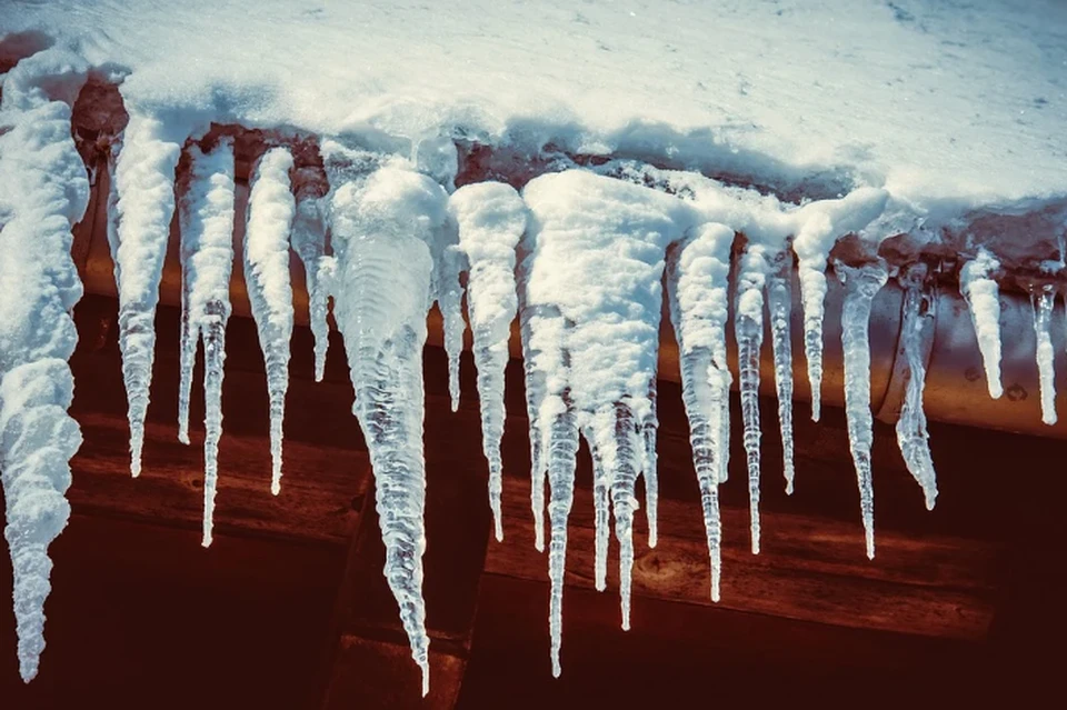 Фото: pixabay.com
