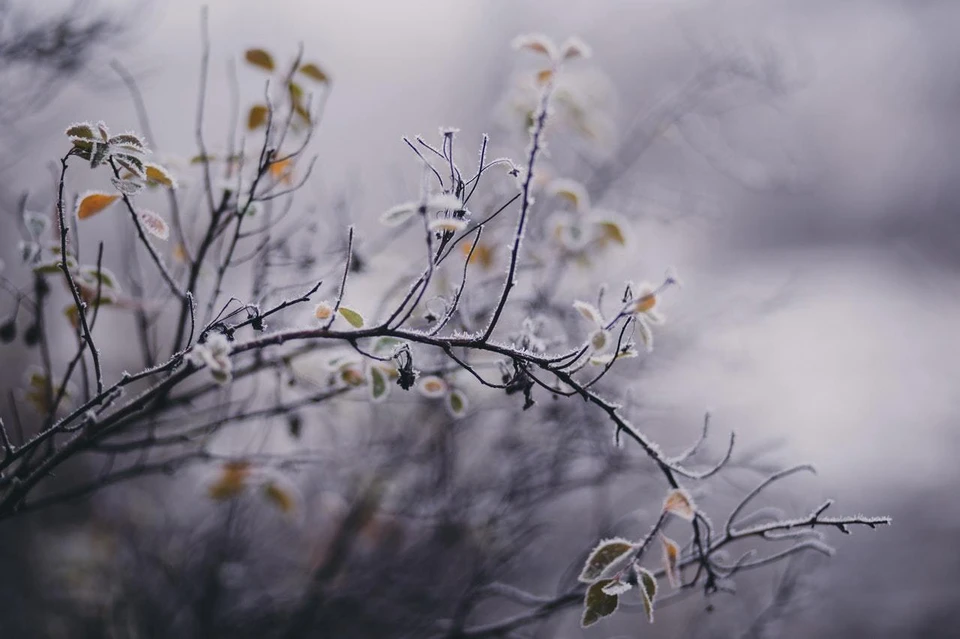 Фото: pexels.com