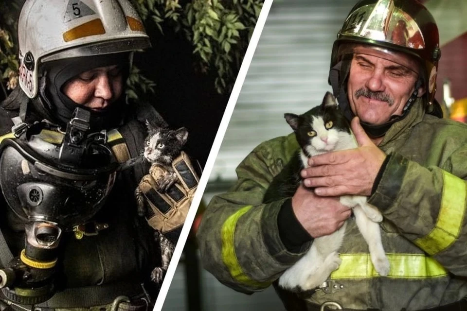 Котенка спасли от пожара 2,5 года назад. Фото: Алена МАРТЫНОВА / Виктор Боровских