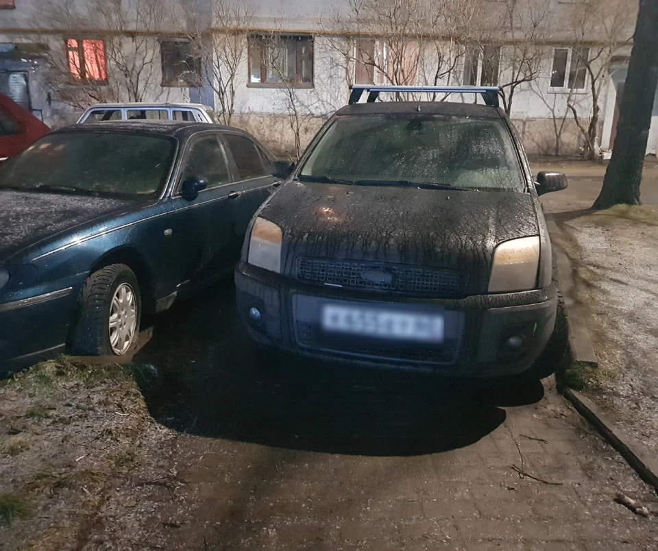 Фото: Жесть по-Псковски