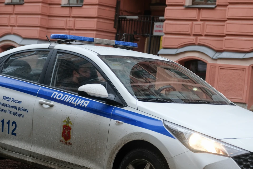 В Петербурге полиция спасла женщину, которую пытался убить муж