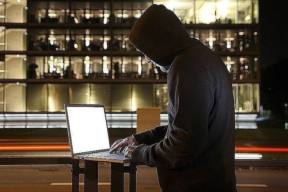 В России выросло число интернет-преступлений
