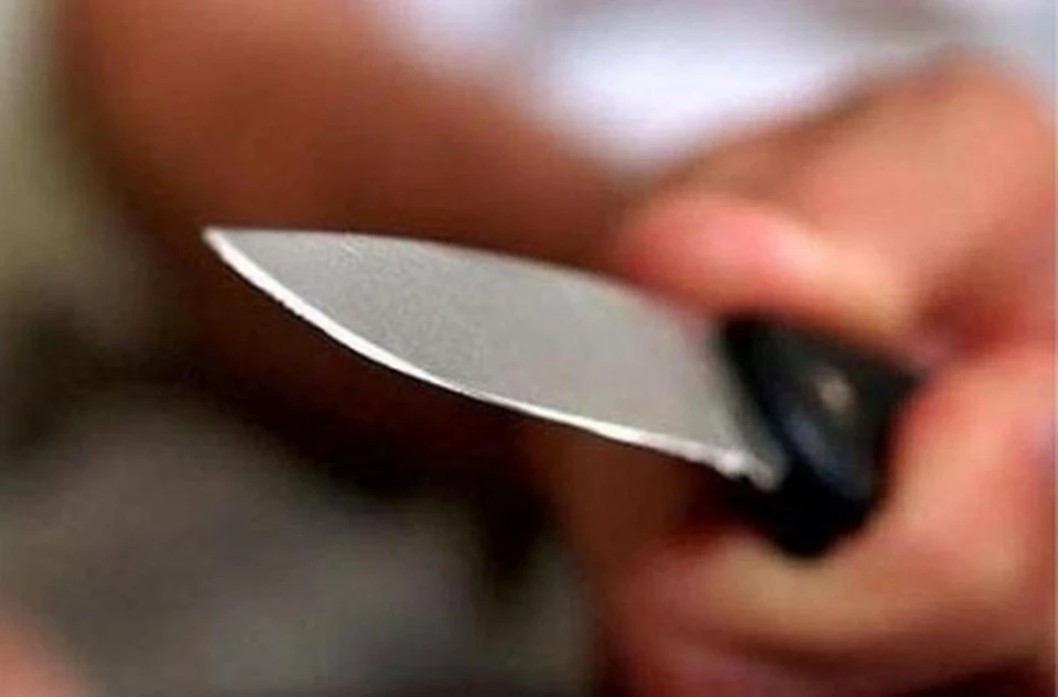 Женщина заявила, что, хотя дважды ударила мужа ножом, смерти его не желала.