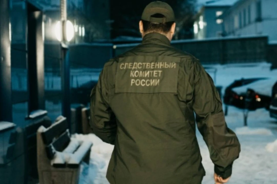 В Орловском районе 52-летний мужчина убил 80-летнюю бабушку своей сожительницы. Фото: sledcom.ru.