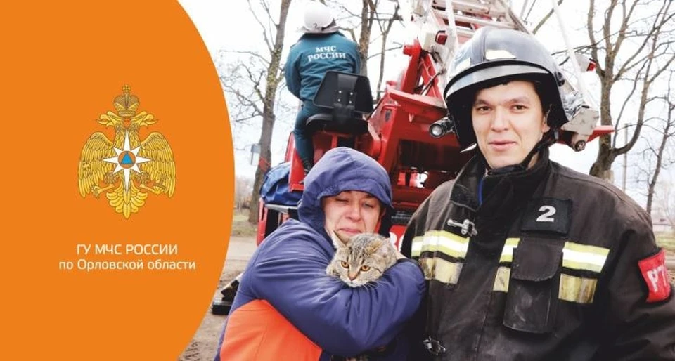 В Орле спасатели вызволили из беды двух кошек