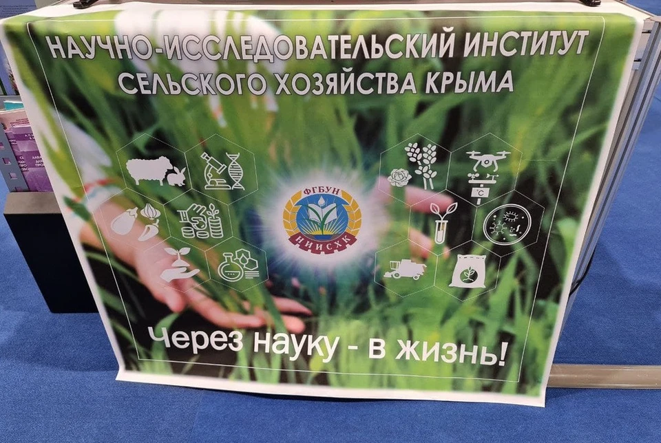 Три предприятия представляют Крым на фестивале "От винта!"Фото: Крымская газета