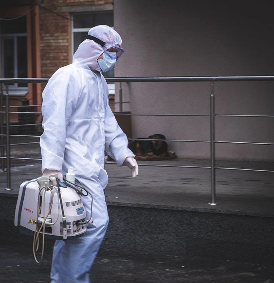 Всего в Приамурье зафиксировали 21 830 случаев инфицирования COVID-19. Фото: https://pixabay.com/