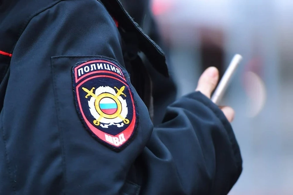Подозреваемому грозит срок до двух лет лишения свободы.