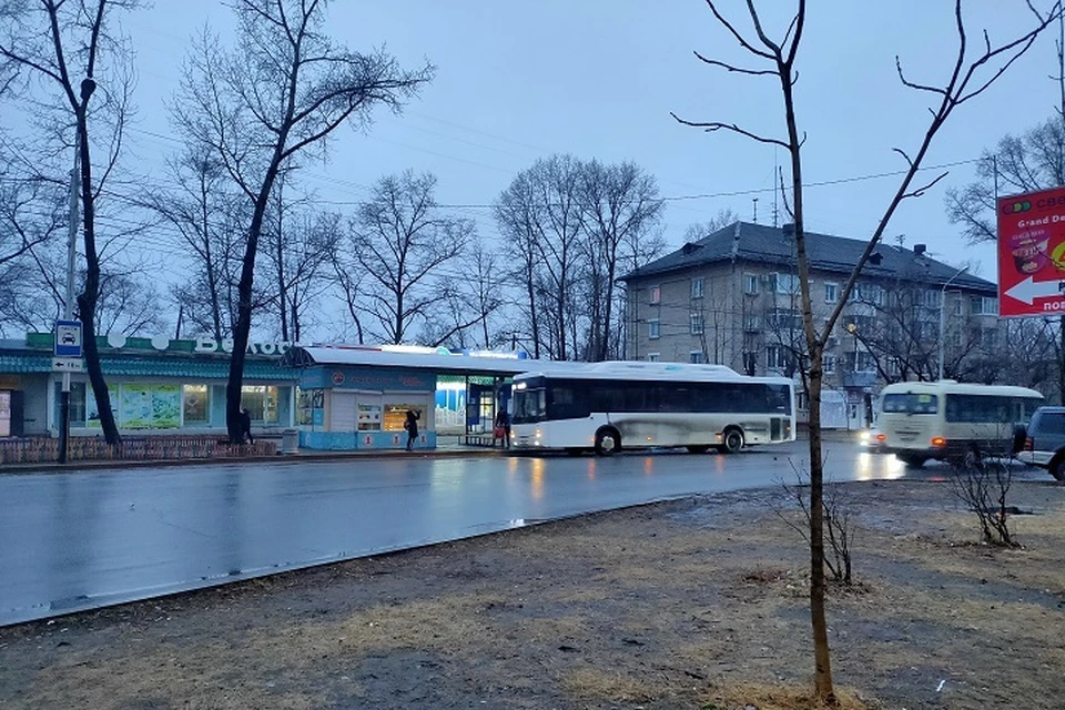 Погода на 30 марта: в Хабаровске пройдет дождь и возможно мокрый снег