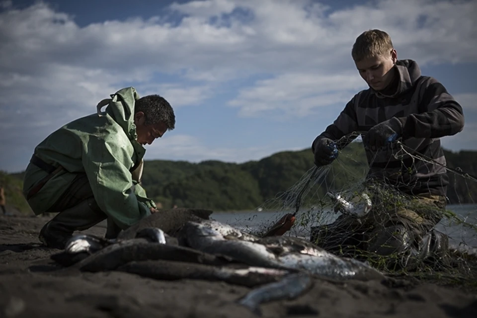 Запрет рыбалки в реке Аксай будет действовать до 31 мая.