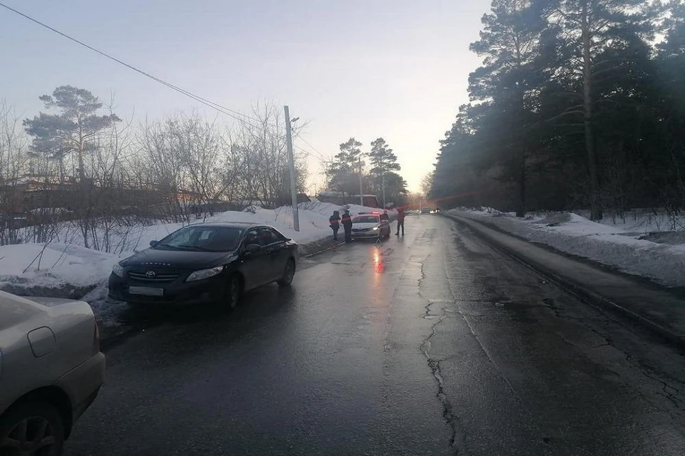 Водитель сбил пенсионерку под Новосибирском. Фото: ГИБДД НСО.