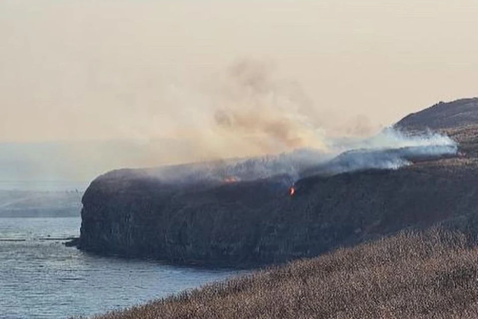 На мысе Вятлина острова Русский произошел пал сухой растительности. Фото: instagram.com/irecommend_vdk