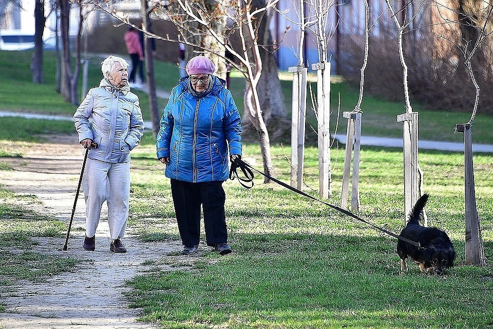 В Госдуму внесли проект закона об индексации пенсий работающим пенсионерам
