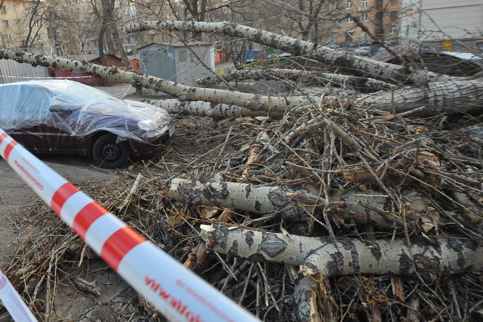 Ураган сегодня наделал много беды в Волгограде.