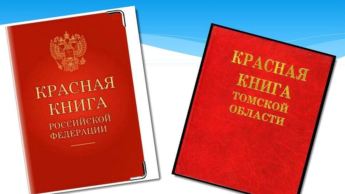 Красная книга томской области фото