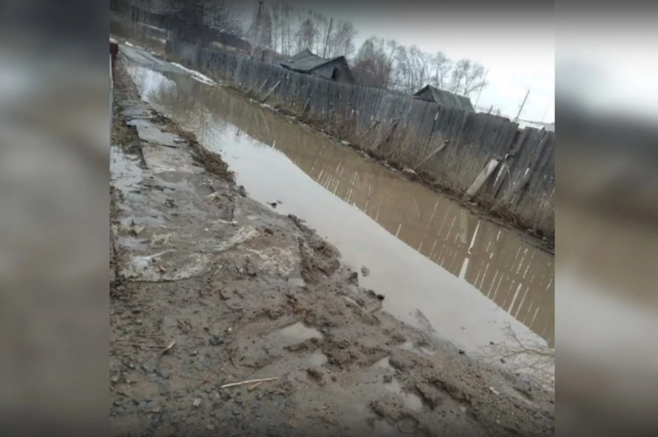 Фото: скриншот с видео