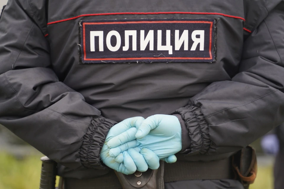 Полицейские поймали злоумышленника