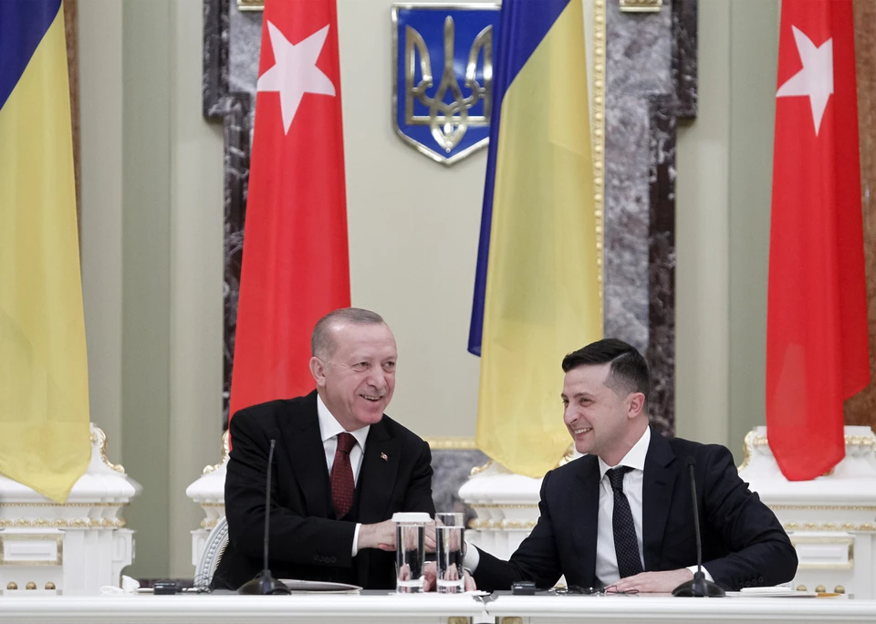 В Крыму оценили обещание Эрдогана помочь Украине вернуть полуостров