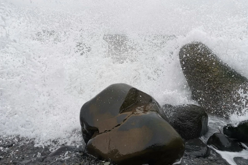 Шансов выбраться из воды практически нет