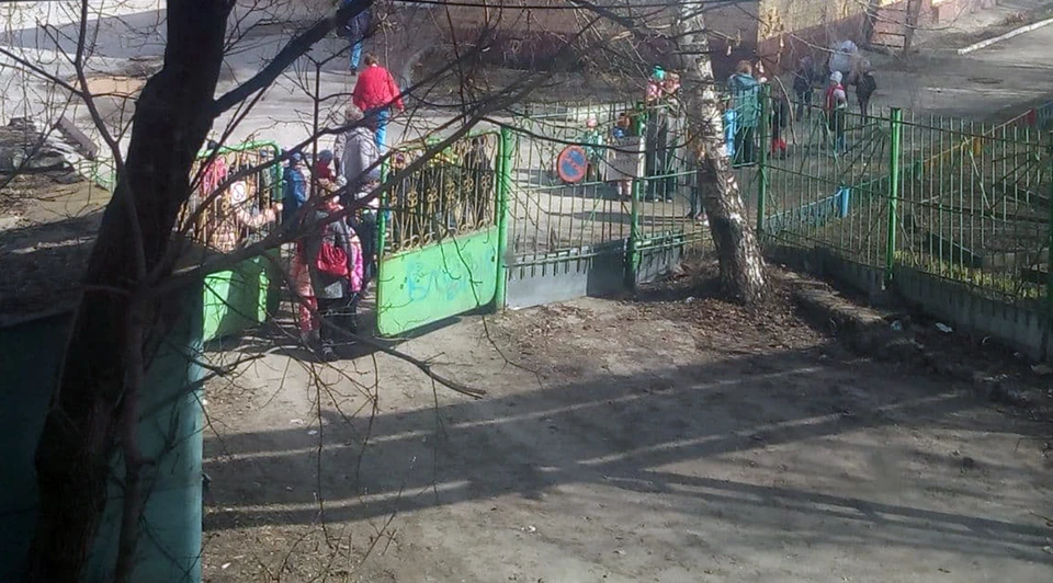 УМВД проводит проверки