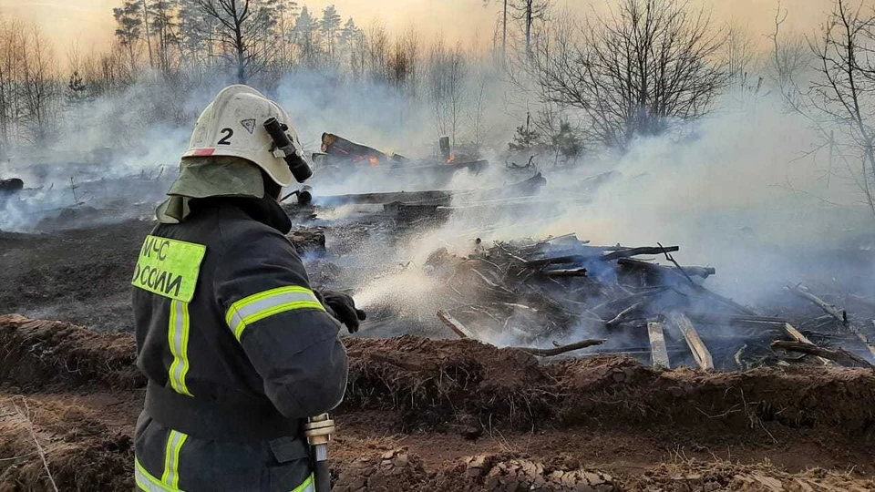 Фото – ГУ МЧС по Воронежской области