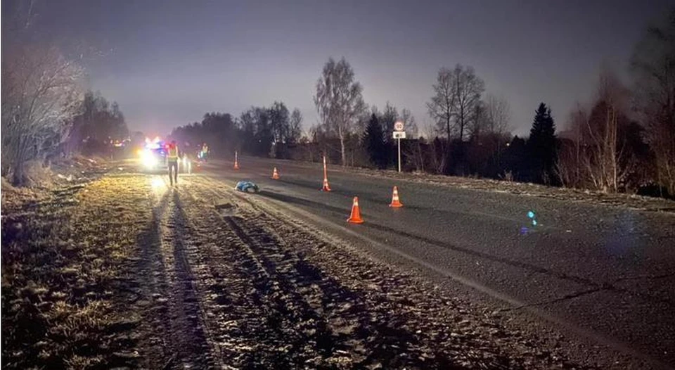 Под Тюменью женщина на авто насмерть сбила пожилого мужчину.